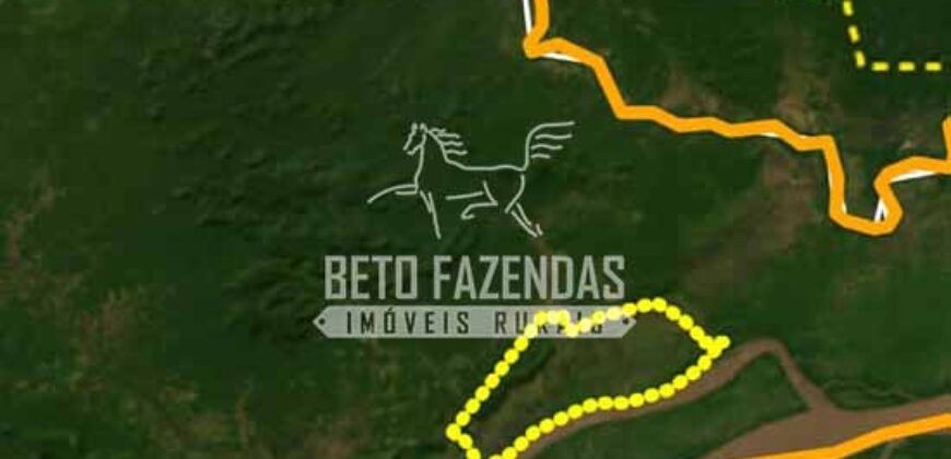 Fazenda à Venda 20.000 has Pecuária Bufalo e Lavoura | Almeirim/ PA Fazenda à Venda 20.000 has Pecuária Bufalo e Lavoura | Almeirim/ PA