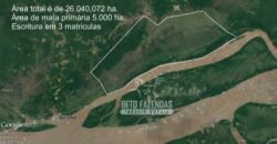 Fazenda à Venda 20.000 has Pecuária Bufalo e Lavoura | Almeirim/ PA Fazenda à Venda 20.000 has Pecuária Bufalo e Lavoura | Almeirim/ PA