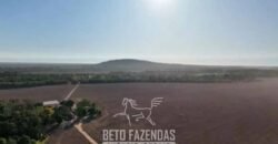Fazenda à Venda 83.848 Has Potencial p/ Lavoura e Pecuária | São Félix do Araguaia/ MT Fazenda à Venda 83.848 Has Potencial p/ Lavoura e Pecuária | São Félix do Araguaia/ MT