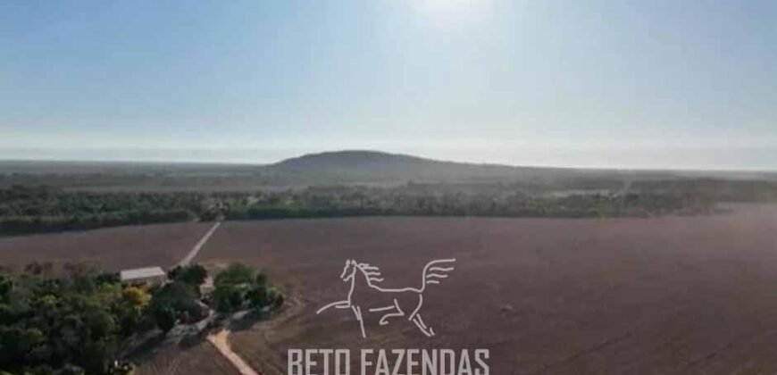 Fazenda à Venda 83.848 Has Potencial p/ Lavoura e Pecuária | São Félix do Araguaia/ MT Fazenda à Venda 83.848 Has Potencial p/ Lavoura e Pecuária | São Félix do Araguaia/ MT