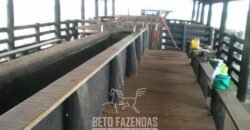 Fazenda à Venda 83.848 Has Potencial p/ Lavoura e Pecuária | São Félix do Araguaia/ MT Fazenda à Venda 83.848 Has Potencial p/ Lavoura e Pecuária | São Félix do Araguaia/ MT