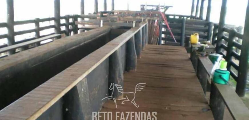 Fazenda à Venda 83.848 Has Potencial p/ Lavoura e Pecuária | São Félix do Araguaia/ MT Fazenda à Venda 83.848 Has Potencial p/ Lavoura e Pecuária | São Félix do Araguaia/ MT