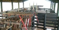 Fazenda à Venda 83.848 Has Potencial p/ Lavoura e Pecuária | São Félix do Araguaia/ MT Fazenda à Venda 83.848 Has Potencial p/ Lavoura e Pecuária | São Félix do Araguaia/ MT