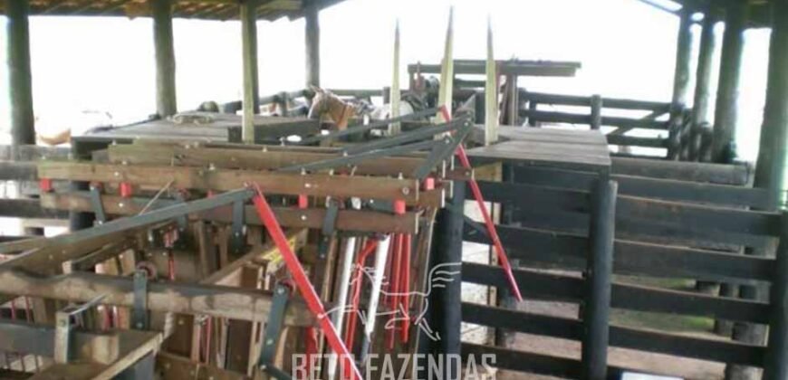 Fazenda à Venda 83.848 Has Potencial p/ Lavoura e Pecuária | São Félix do Araguaia/ MT Fazenda à Venda 83.848 Has Potencial p/ Lavoura e Pecuária | São Félix do Araguaia/ MT