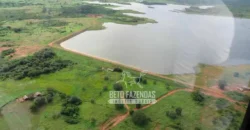 Venda de Fazenda de 176.000 hectares Gigante do Agronegócio | Aroazes/PI Venda de Fazenda de 176.000 hectares Gigante do Agronegócio | Aroazes/PI