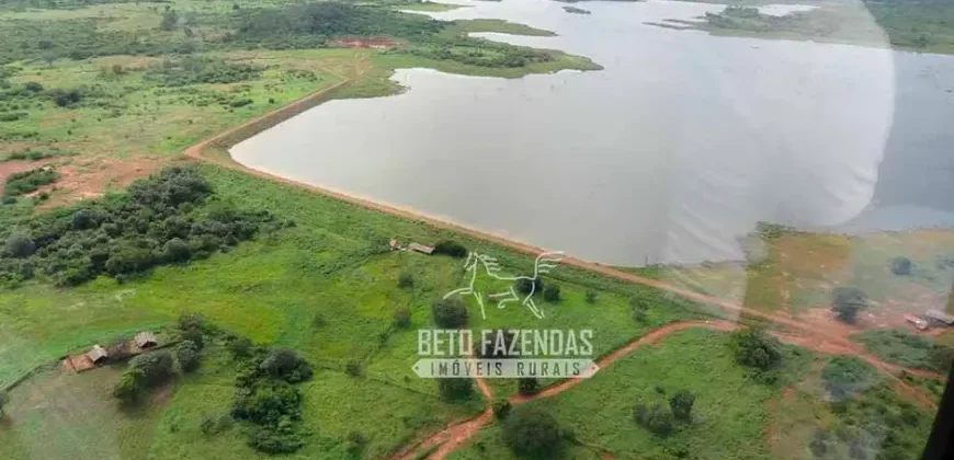 Venda de Fazenda de 176.000 hectares Gigante do Agronegócio | Aroazes/PI