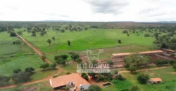 Venda de Fazenda de 176.000 hectares Gigante do Agronegócio | Aroazes/PI Venda de Fazenda de 176.000 hectares Gigante do Agronegócio | Aroazes/PI