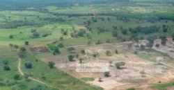 Venda de Fazenda de 176.000 hectares Gigante do Agronegócio | Aroazes/PI Venda de Fazenda de 176.000 hectares Gigante do Agronegócio | Aroazes/PI