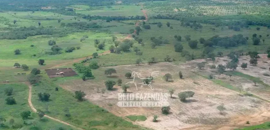 Venda de Fazenda de 176.000 hectares Gigante do Agronegócio | Aroazes/PI