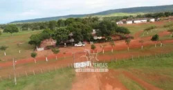 Venda de Fazenda de 176.000 hectares Gigante do Agronegócio | Aroazes/PI Venda de Fazenda de 176.000 hectares Gigante do Agronegócio | Aroazes/PI