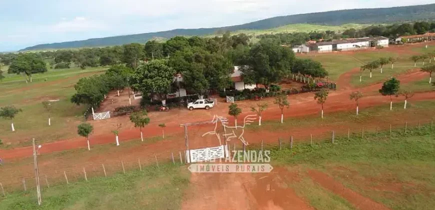 Venda de Fazenda de 176.000 hectares Gigante do Agronegócio | Aroazes/PI