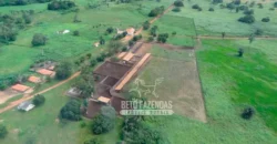 Venda de Fazenda de 176.000 hectares Gigante do Agronegócio | Aroazes/PI Venda de Fazenda de 176.000 hectares Gigante do Agronegócio | Aroazes/PI