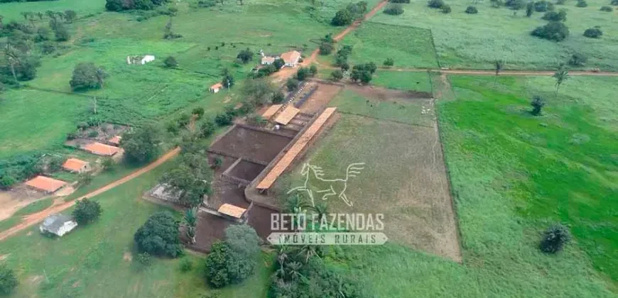 Venda de Fazenda de 176.000 hectares Gigante do Agronegócio | Aroazes/PI
