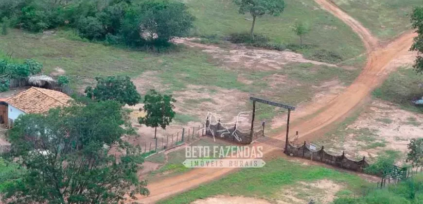 Venda de Fazenda de 176.000 hectares Gigante do Agronegócio | Aroazes/PI