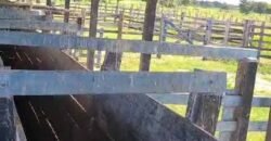 Fazenda à Venda 9.500 Has Grande Potencial Produtivo | Alenquer/ PA