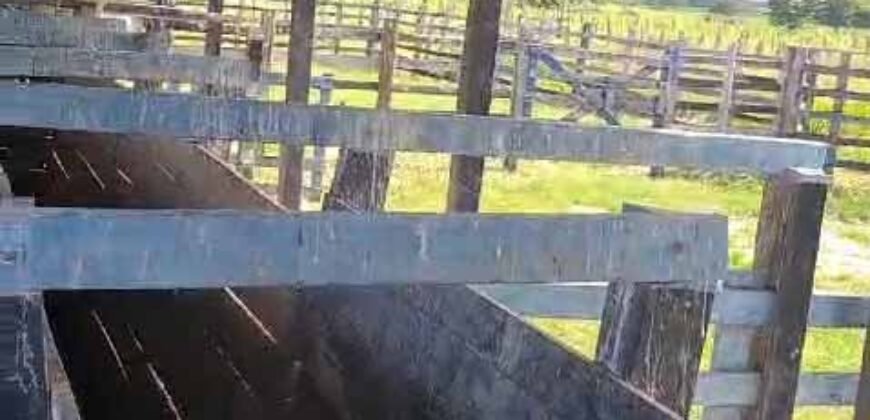 Fazenda à Venda 9.500 Has Grande Potencial Produtivo | Alenquer/ PA