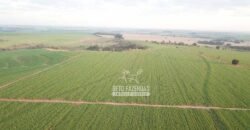 Fazenda à Venda 197 Alqueires com Lavoura de Cana | Itápolis/ SP