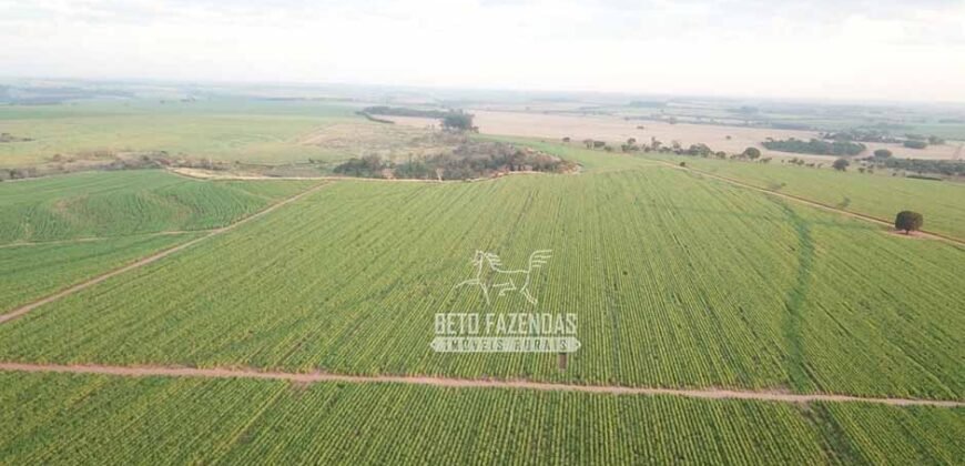 Fazenda à Venda 197 Alqueires com Lavoura de Cana | Itápolis/ SP