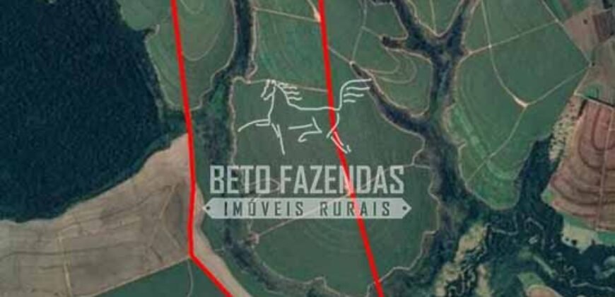 Fazenda à Venda 197 Alqueires com Lavoura de Cana | Itápolis/ SP