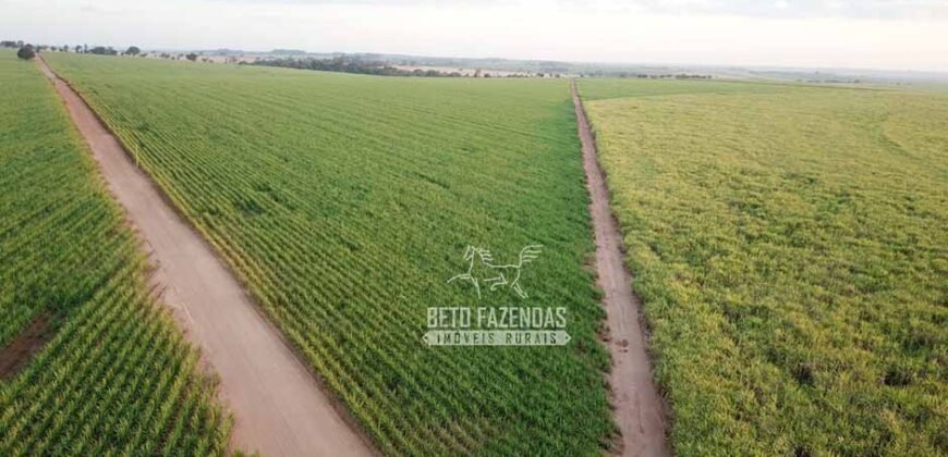 Fazenda à Venda 197 Alqueires com Lavoura de Cana | Itápolis/ SP
