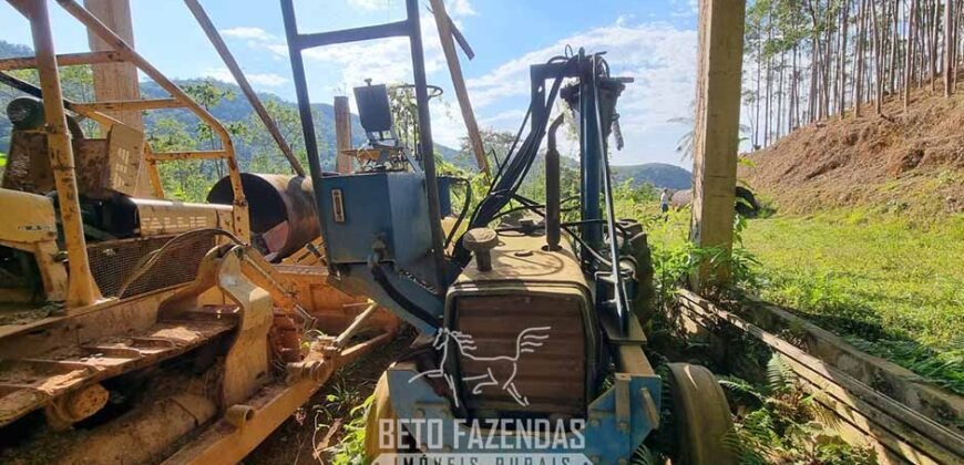 Fazenda Produtiva à Venda 566 Hectares Eucalipto e Cachoeiras | Rezende/ RJ