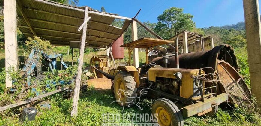 Fazenda Produtiva à Venda 566 Hectares Eucalipto e Cachoeiras | Rezende/ RJ