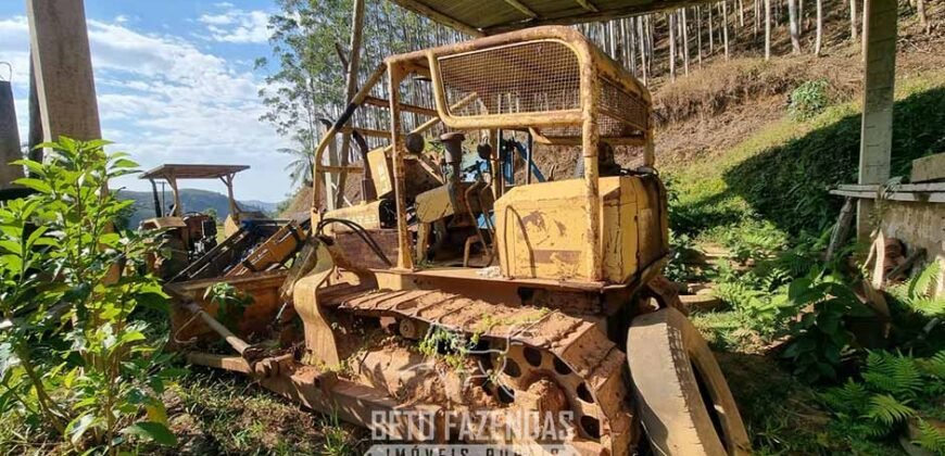 Fazenda Produtiva à Venda 566 Hectares Eucalipto e Cachoeiras | Rezende/ RJ