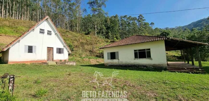 Fazenda Produtiva à Venda 566 Hectares Eucalipto e Cachoeiras | Rezende/ RJ