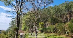 Fazenda Produtiva à Venda 566 Hectares Eucalipto e Cachoeiras | Rezende/ RJ