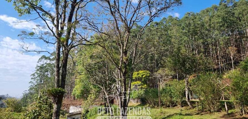 Fazenda Produtiva à Venda 566 Hectares Eucalipto e Cachoeiras | Rezende/ RJ