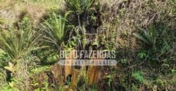 Fazenda Produtiva à Venda 566 Hectares Eucalipto e Cachoeiras | Rezende/ RJ