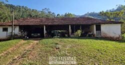 Fazenda Produtiva à Venda 566 Hectares Eucalipto e Cachoeiras | Rezende/ RJ