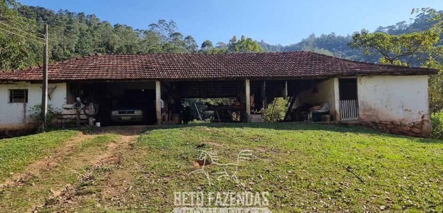 Fazenda Produtiva à Venda 566 Hectares Eucalipto e Cachoeiras | Rezende/ RJ