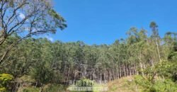 Fazenda Produtiva à Venda 566 Hectares Eucalipto e Cachoeiras | Rezende/ RJ