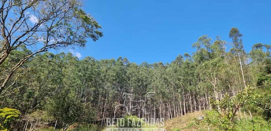Fazenda Produtiva à Venda 566 Hectares Eucalipto e Cachoeiras | Rezende/ RJ