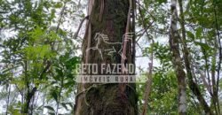 Fazenda Produtiva à Venda 566 Hectares Eucalipto e Cachoeiras | Rezende/ RJ