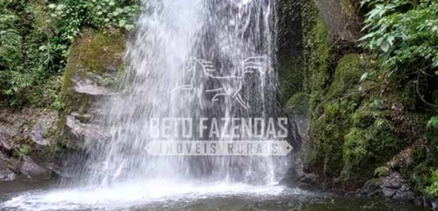 Fazenda Produtiva à Venda 566 Hectares Eucalipto e Cachoeiras | Rezende/ RJ