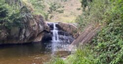 Fazenda Produtiva 456 hectares Setor Florestal Eucalipto | Santa Maria Madalena/ RJ