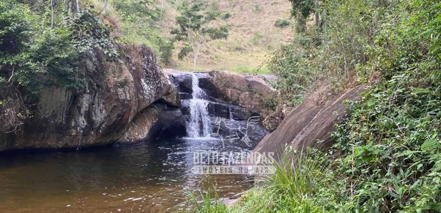 Fazenda Produtiva 456 hectares Setor Florestal Eucalipto | Santa Maria Madalena/ RJ