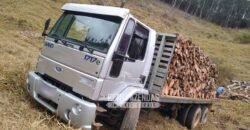 Fazenda Produtiva 456 hectares Setor Florestal Eucalipto | Santa Maria Madalena/ RJ