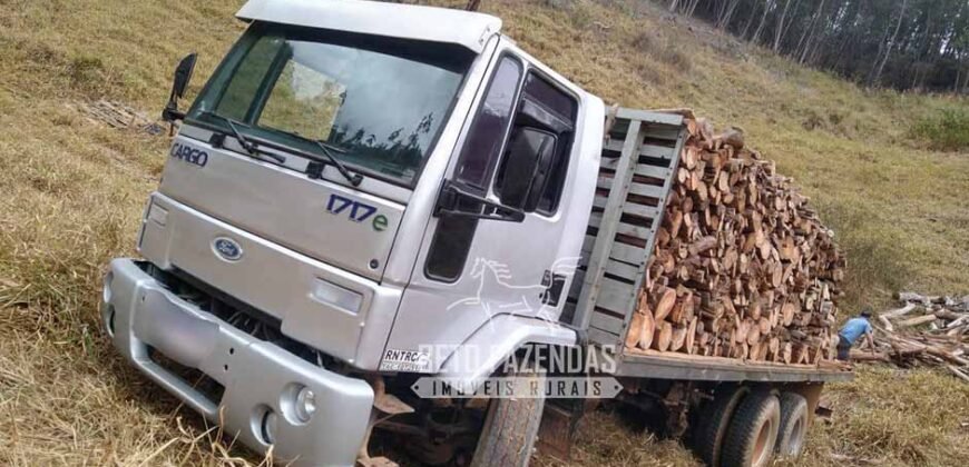 Fazenda Produtiva 456 hectares Setor Florestal Eucalipto | Santa Maria Madalena/ RJ