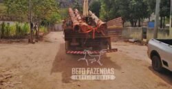 Fazenda Produtiva 456 hectares Setor Florestal Eucalipto | Santa Maria Madalena/ RJ