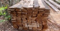 Fazenda Produtiva 456 hectares Setor Florestal Eucalipto | Santa Maria Madalena/ RJ