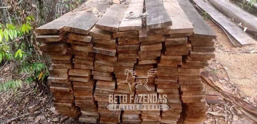 Fazenda Produtiva 456 hectares Setor Florestal Eucalipto | Santa Maria Madalena/ RJ