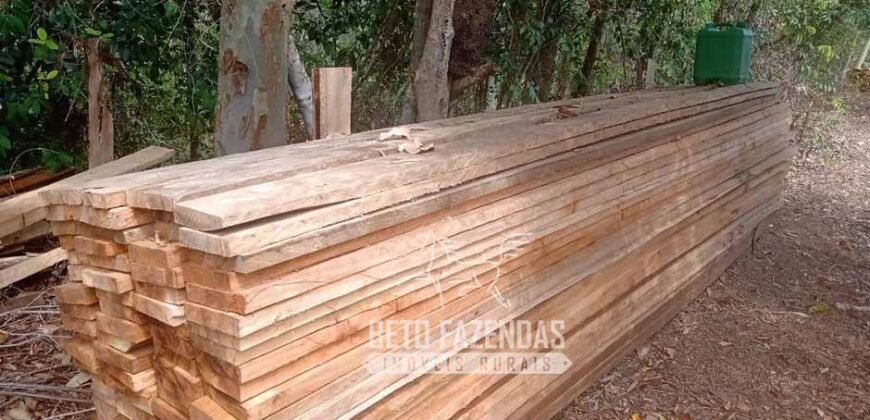 Fazenda Produtiva 456 hectares Setor Florestal Eucalipto | Santa Maria Madalena/ RJ