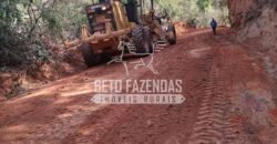 Fazenda Produtiva 456 hectares Setor Florestal Eucalipto | Santa Maria Madalena/ RJ