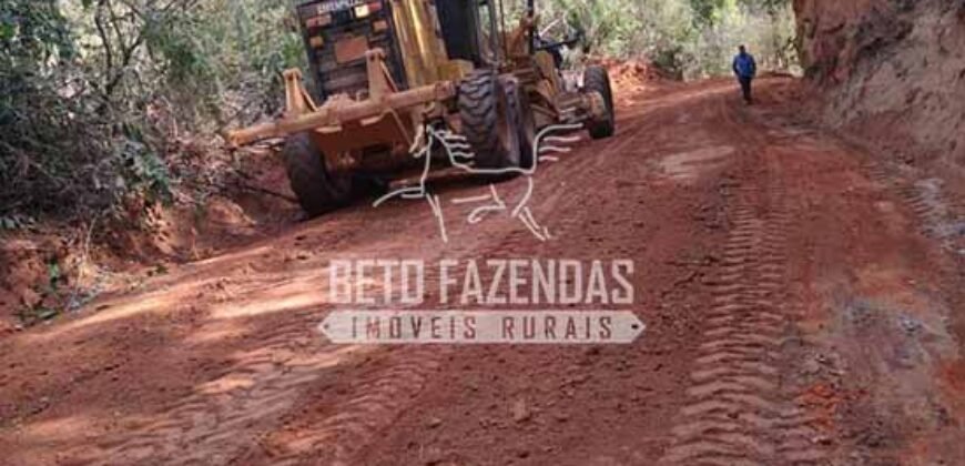 Fazenda Produtiva 456 hectares Setor Florestal Eucalipto | Santa Maria Madalena/ RJ