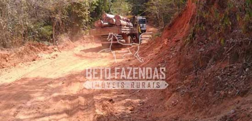 Fazenda Produtiva 456 hectares Setor Florestal Eucalipto | Santa Maria Madalena/ RJ