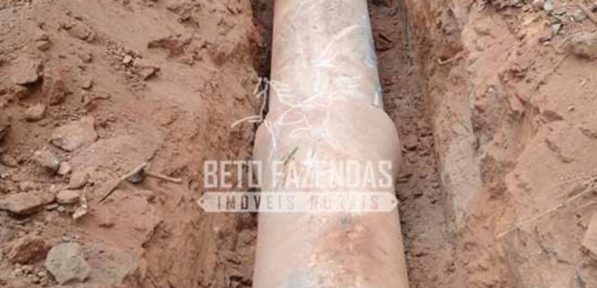 Fazenda Produtiva 456 hectares Setor Florestal Eucalipto | Santa Maria Madalena/ RJ