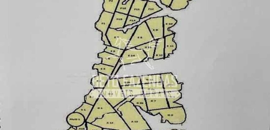 Fazenda à Venda 50 mil Hectares Produtiva em Grande Escala | Nova Mutum/ MT